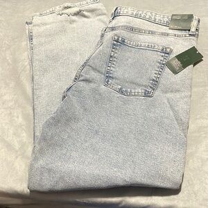 🎉HP🎉NWT Wild Fable Highest Rise 90s Straight Distressed Button Fly Jeans